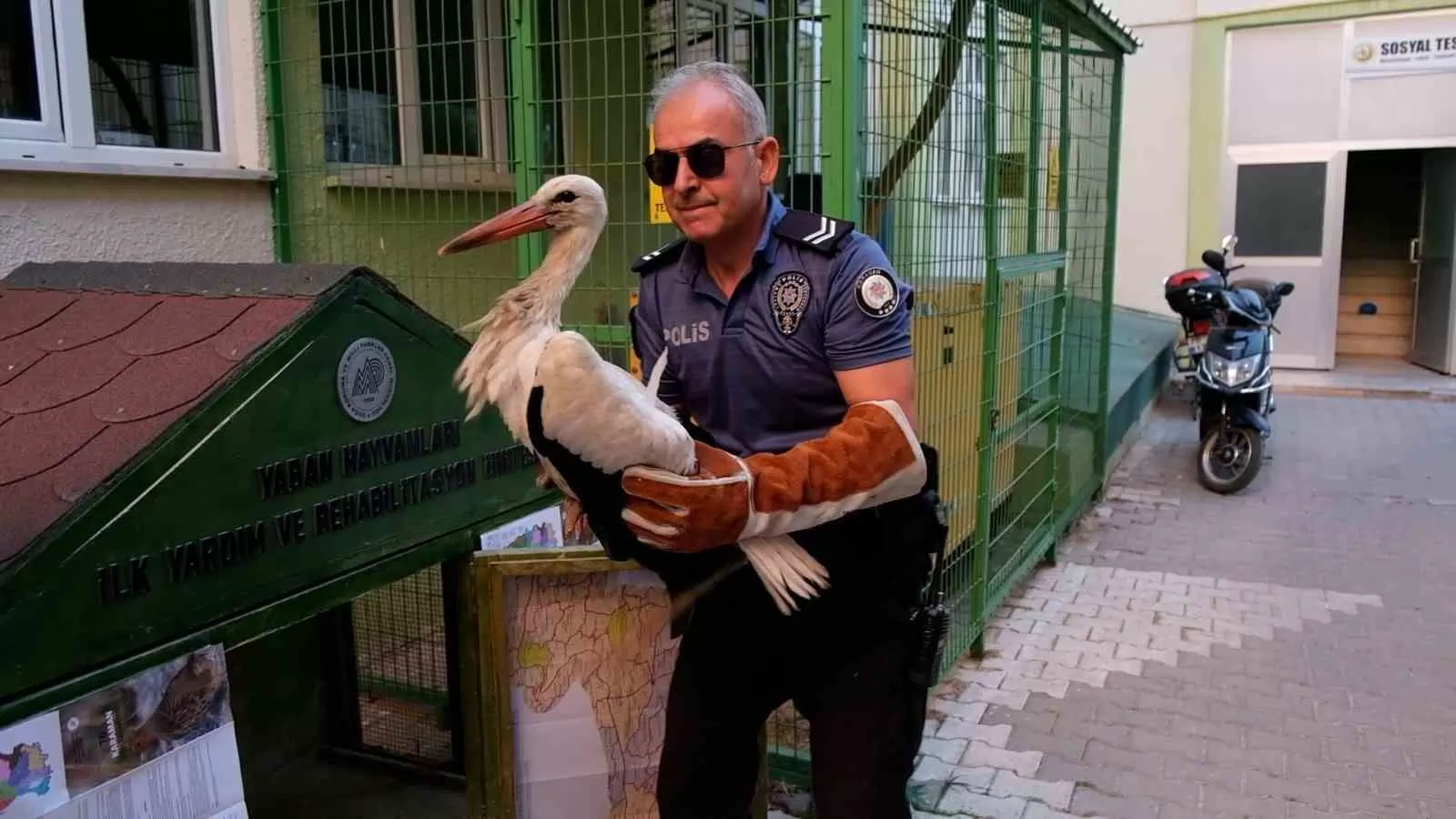 Karaman’da Yaralı Leylek Koruma Altına Alındı